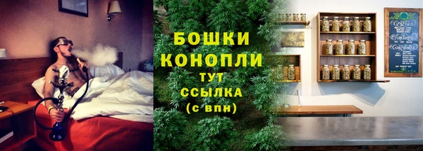 spice Осинники