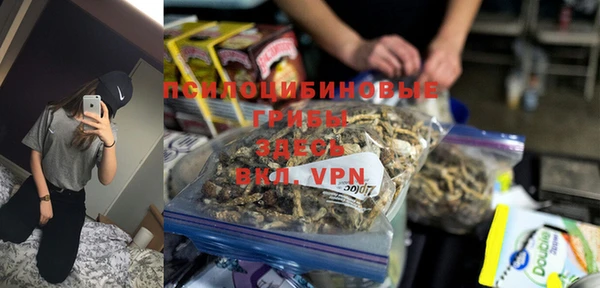 стафф Новокубанск
