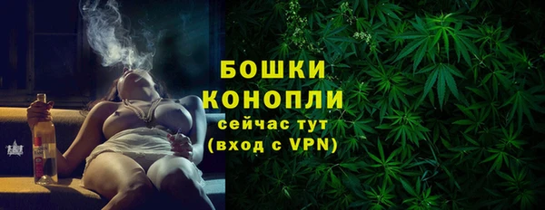стафф Новокубанск