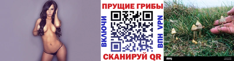 Псилоцибиновые грибы ЛСД  Инта 